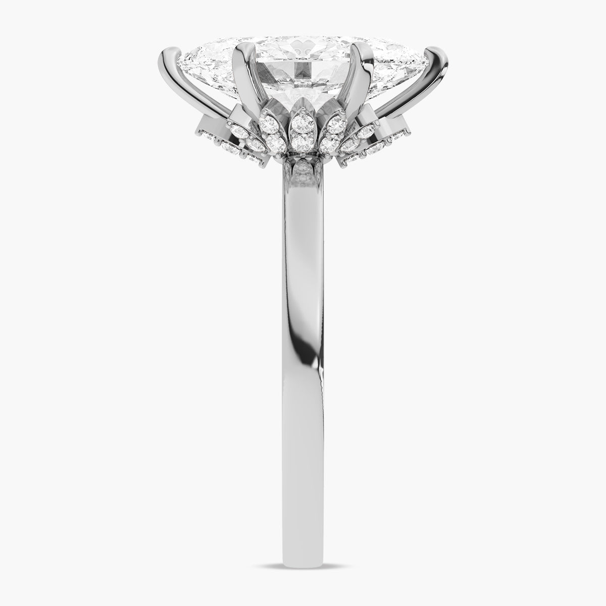 Orion Ring