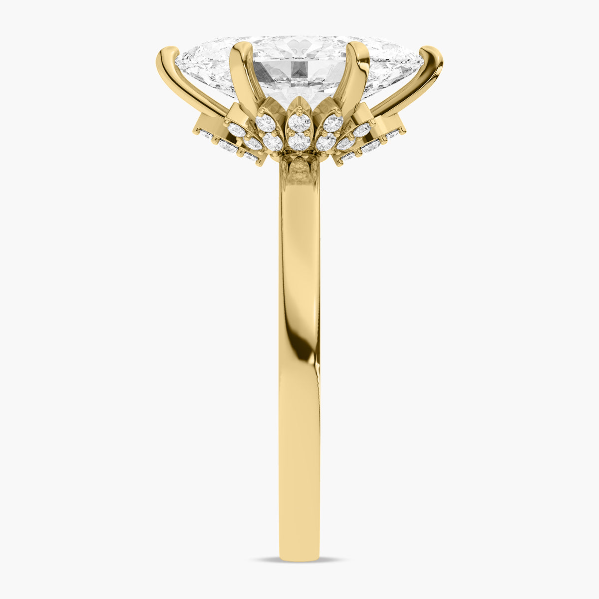 Orion Ring