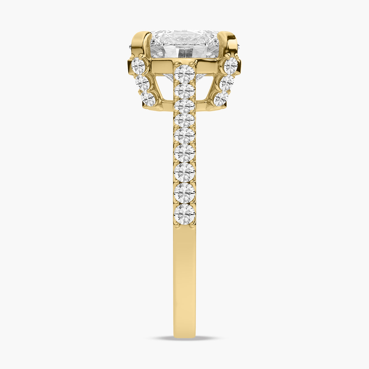 Tess Ring