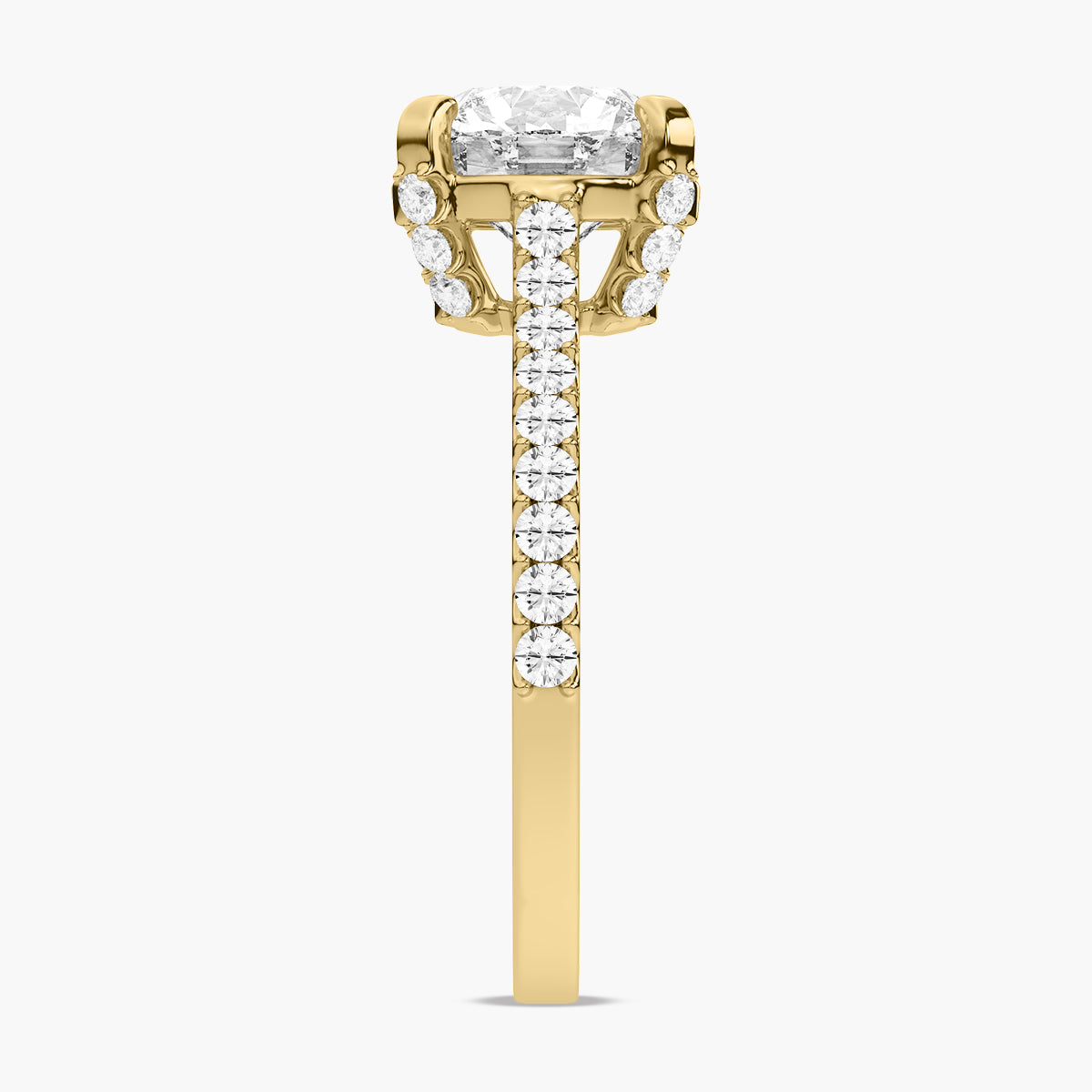 Tess Ring