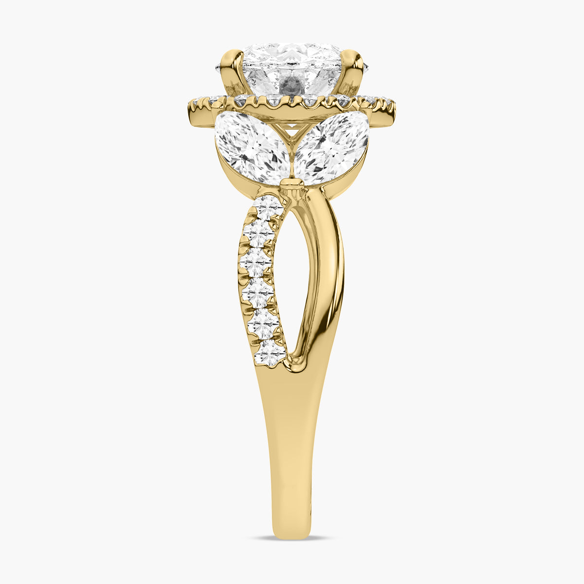 Lief Ring