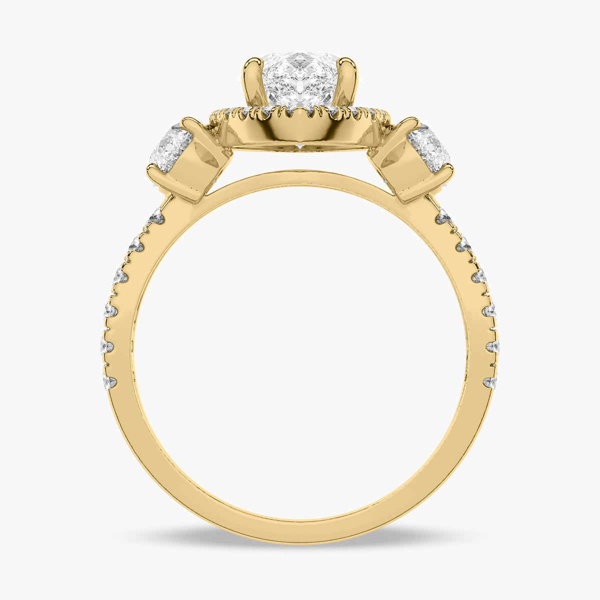 Reva Ring