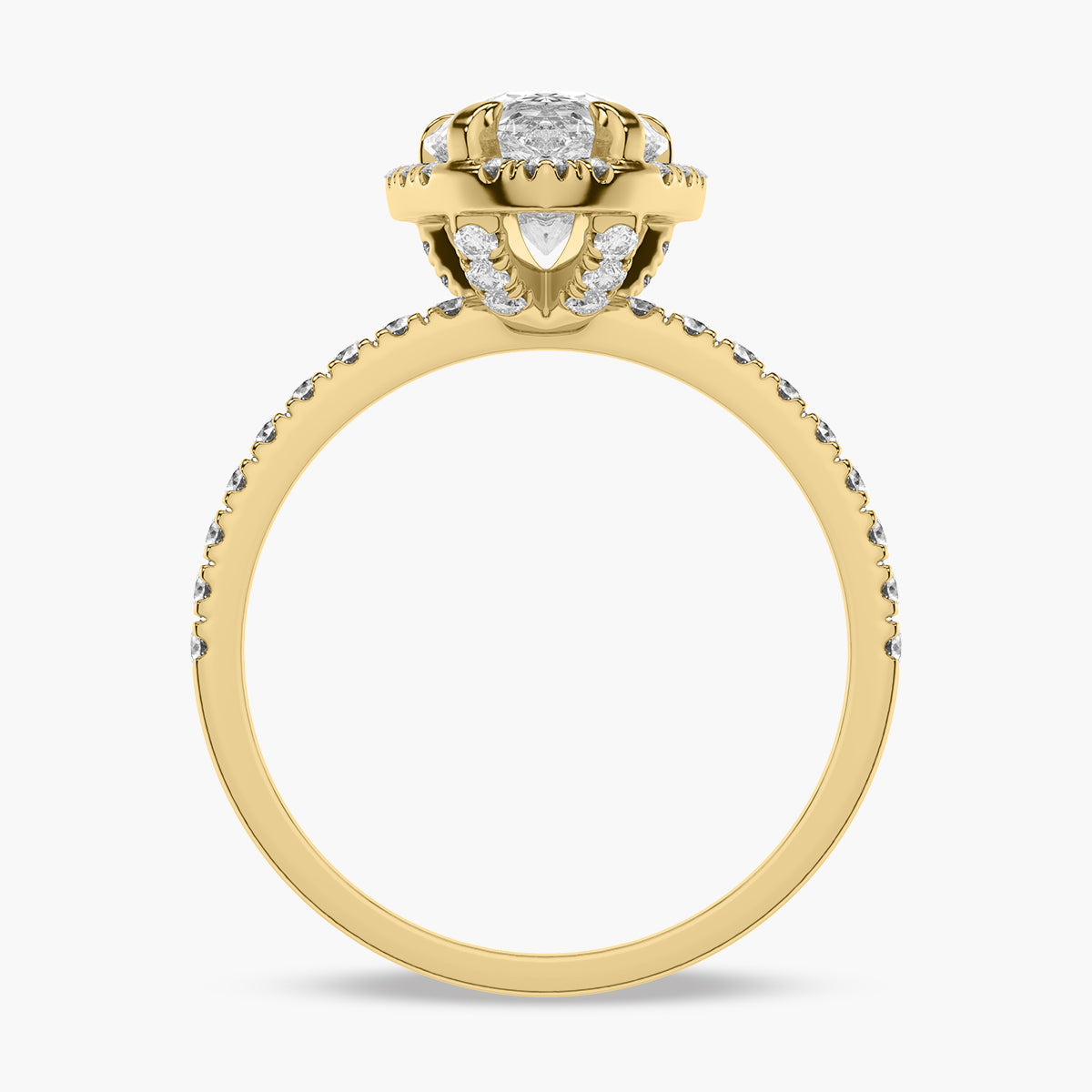 Yellow Gold - Pearl