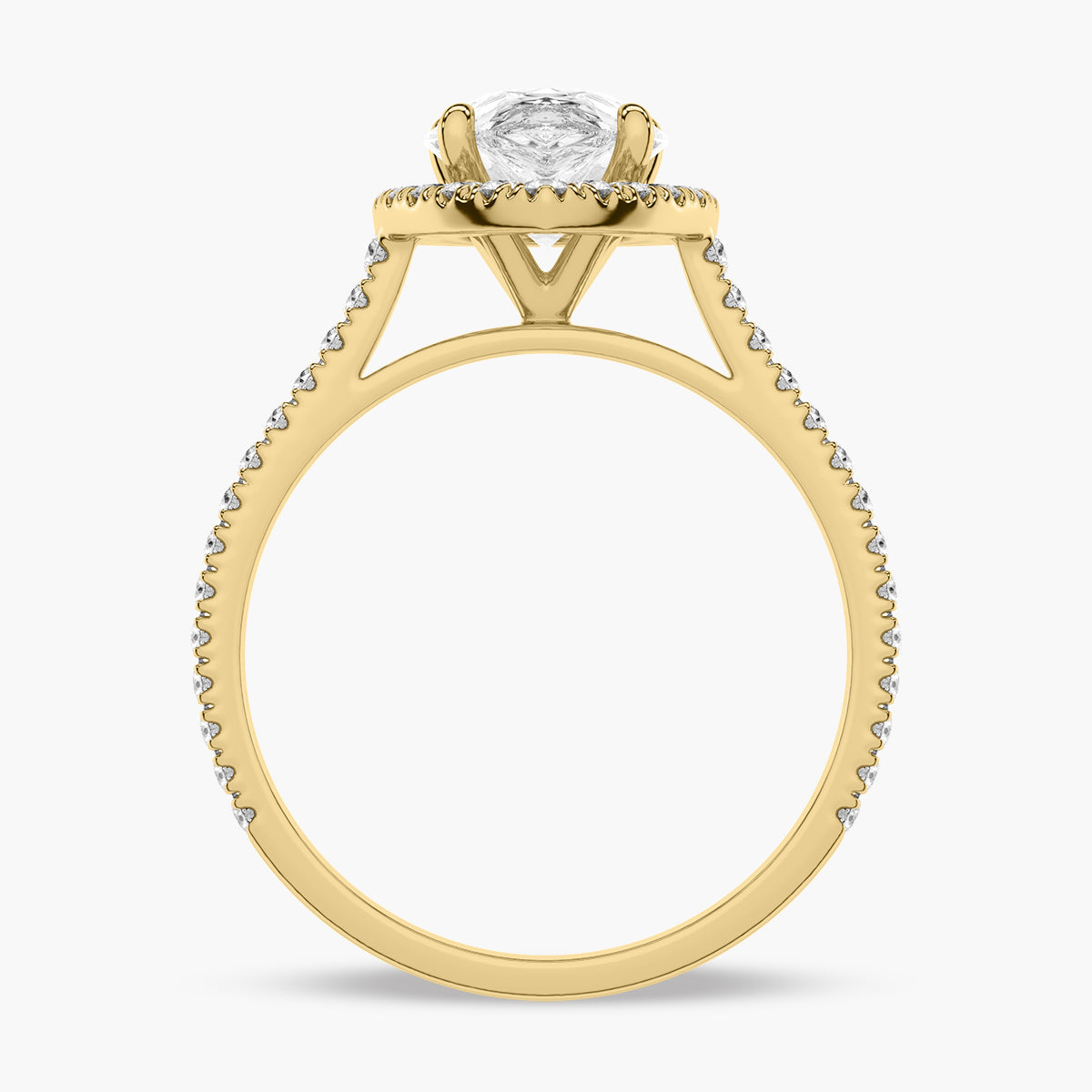 Yellow Gold - Pearl