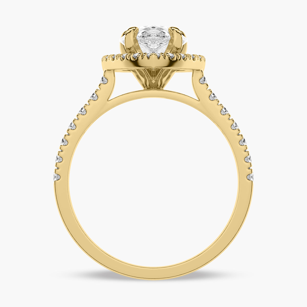Yellow Gold - Pearl