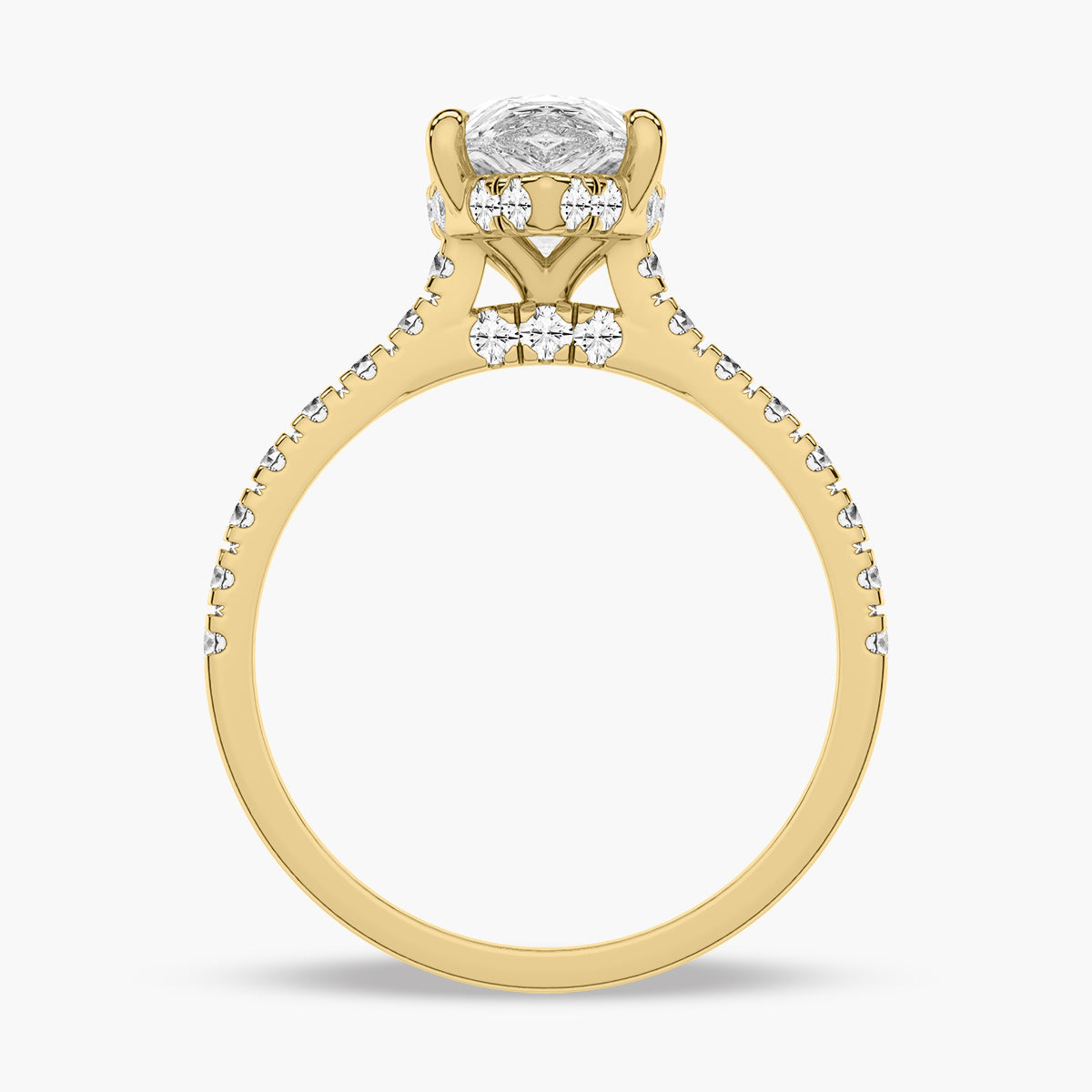 Yellow Gold - Pearl