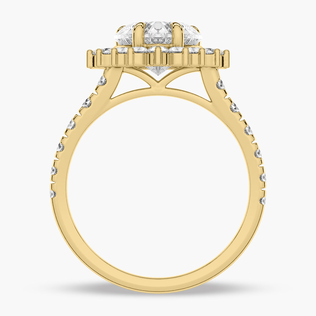 Clove Ring