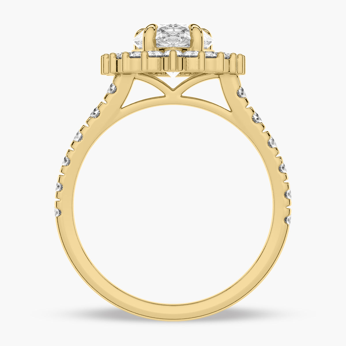Yellow Gold - Pearl