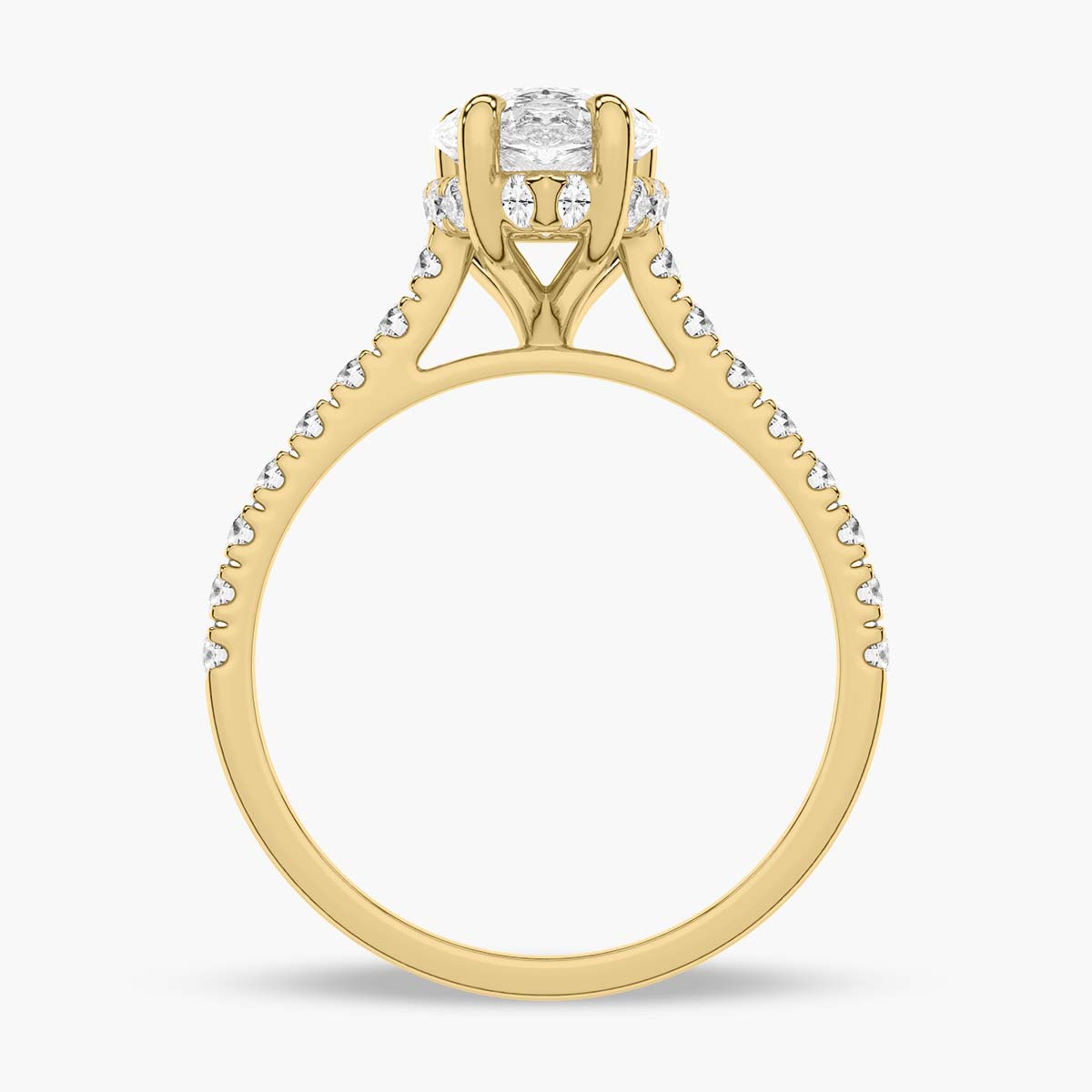 Yellow Gold - Pearl