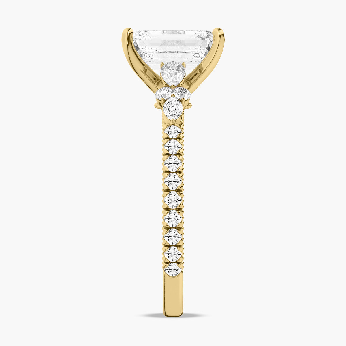 Perrin Ring