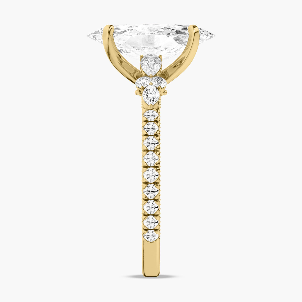 Perrin Ring