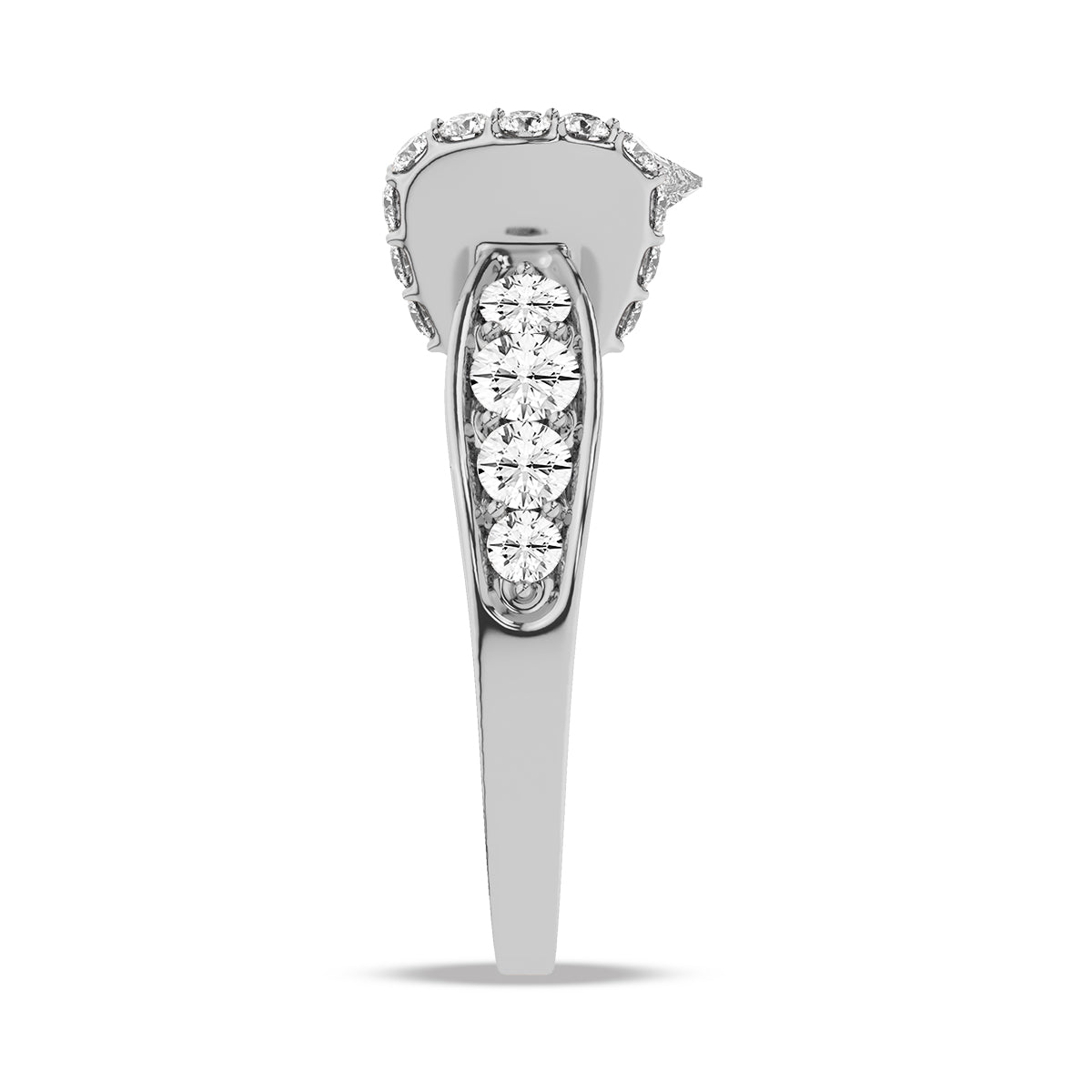 Caspian Ring