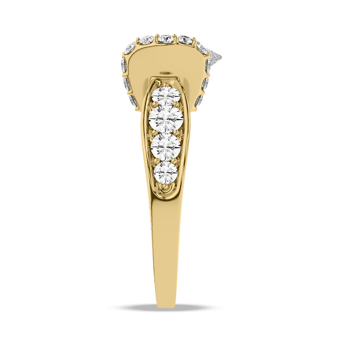 Caspian Ring