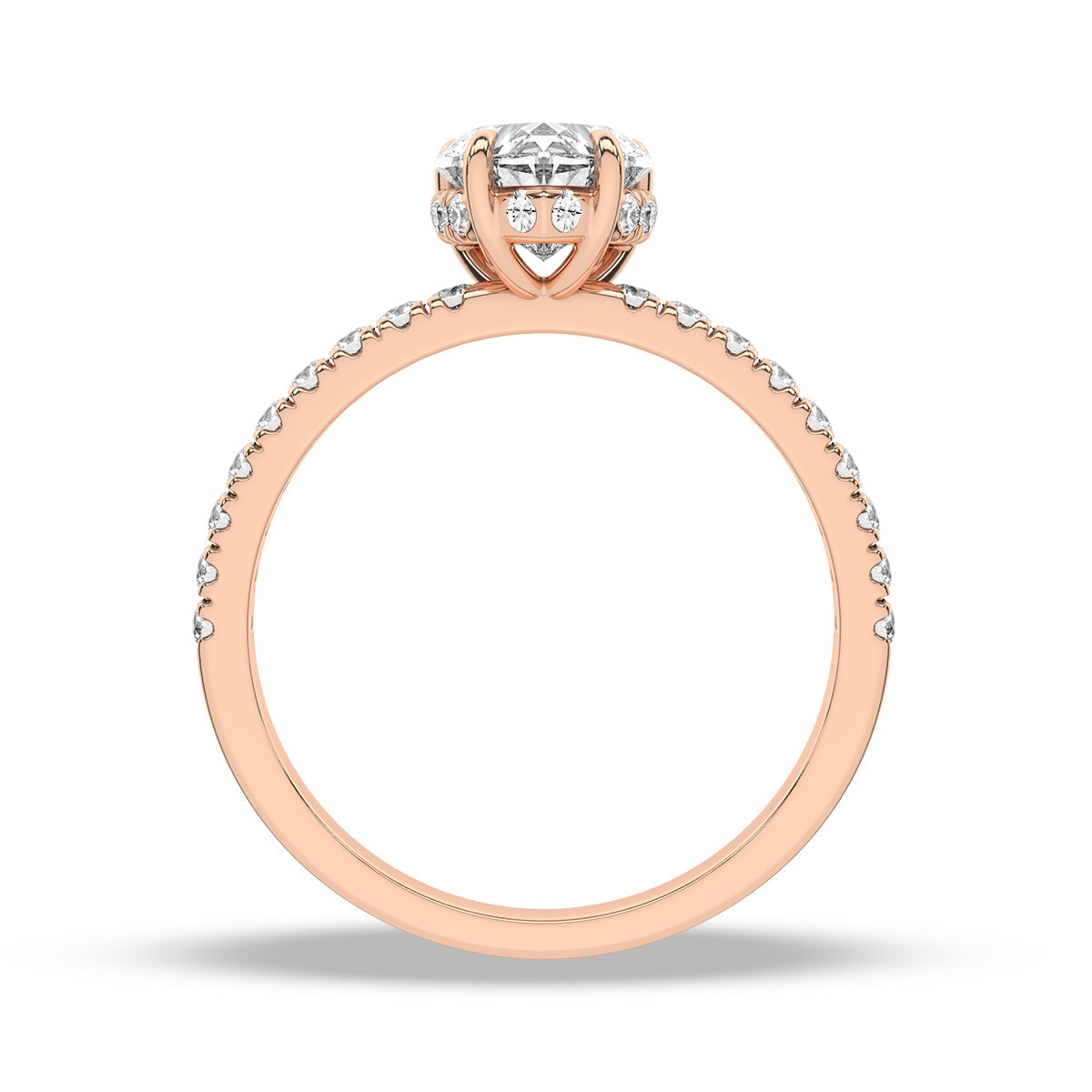 Heron Ring
