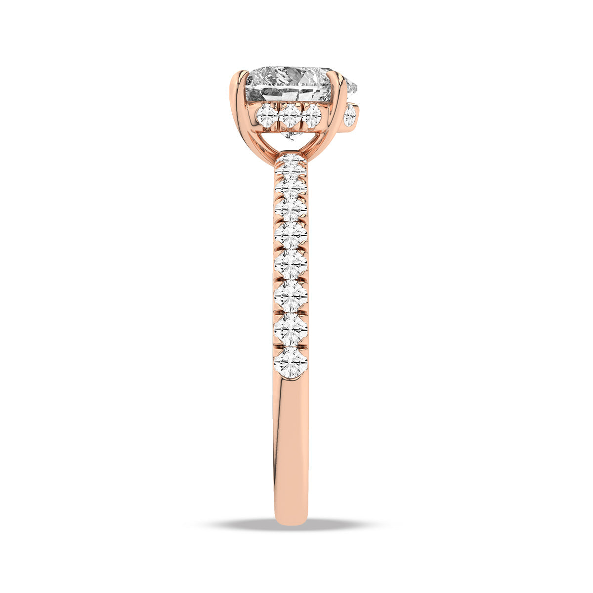 Heron Ring