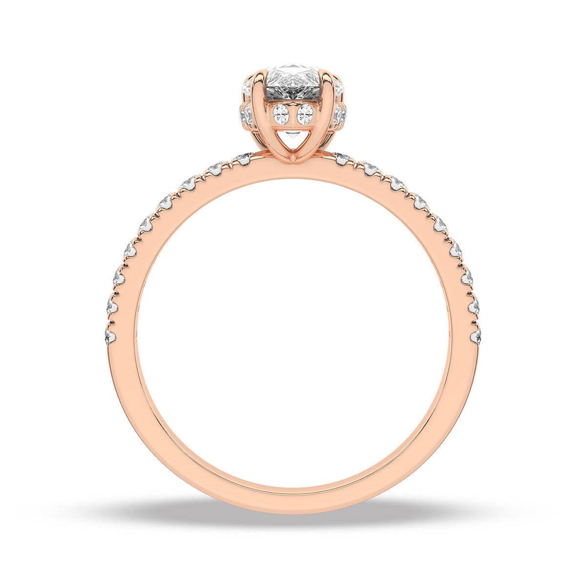 Heron Ring