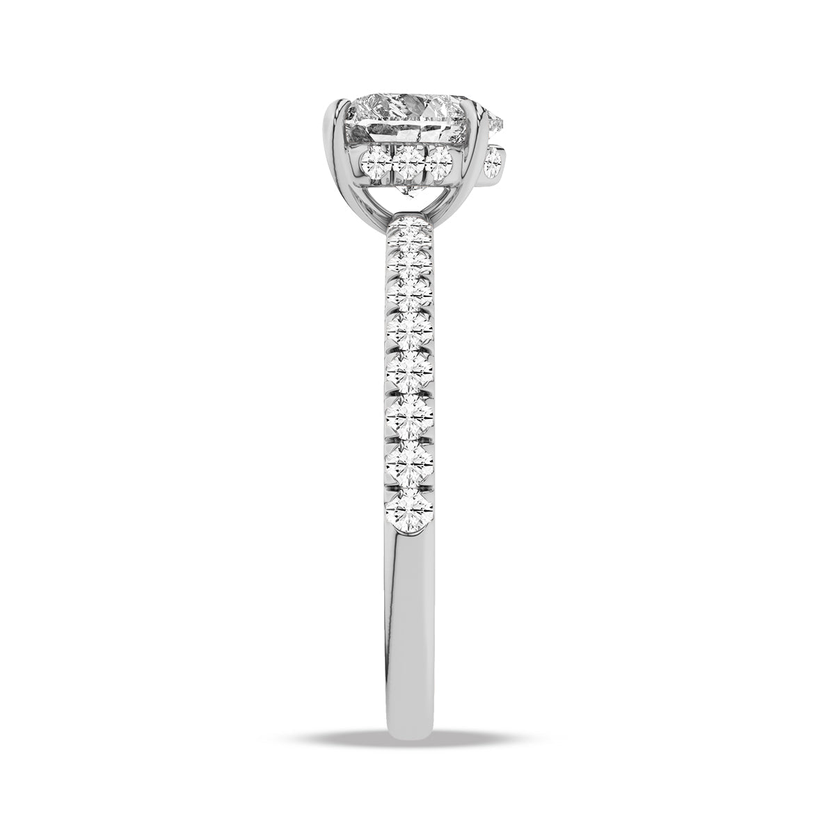 Heron Ring