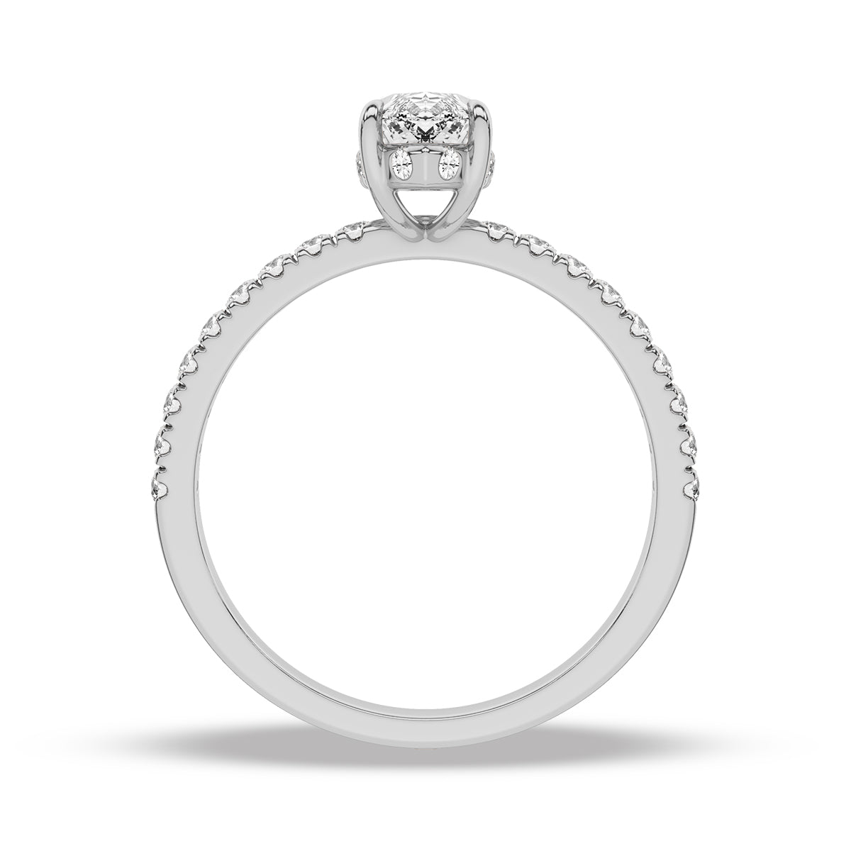 Heron Ring