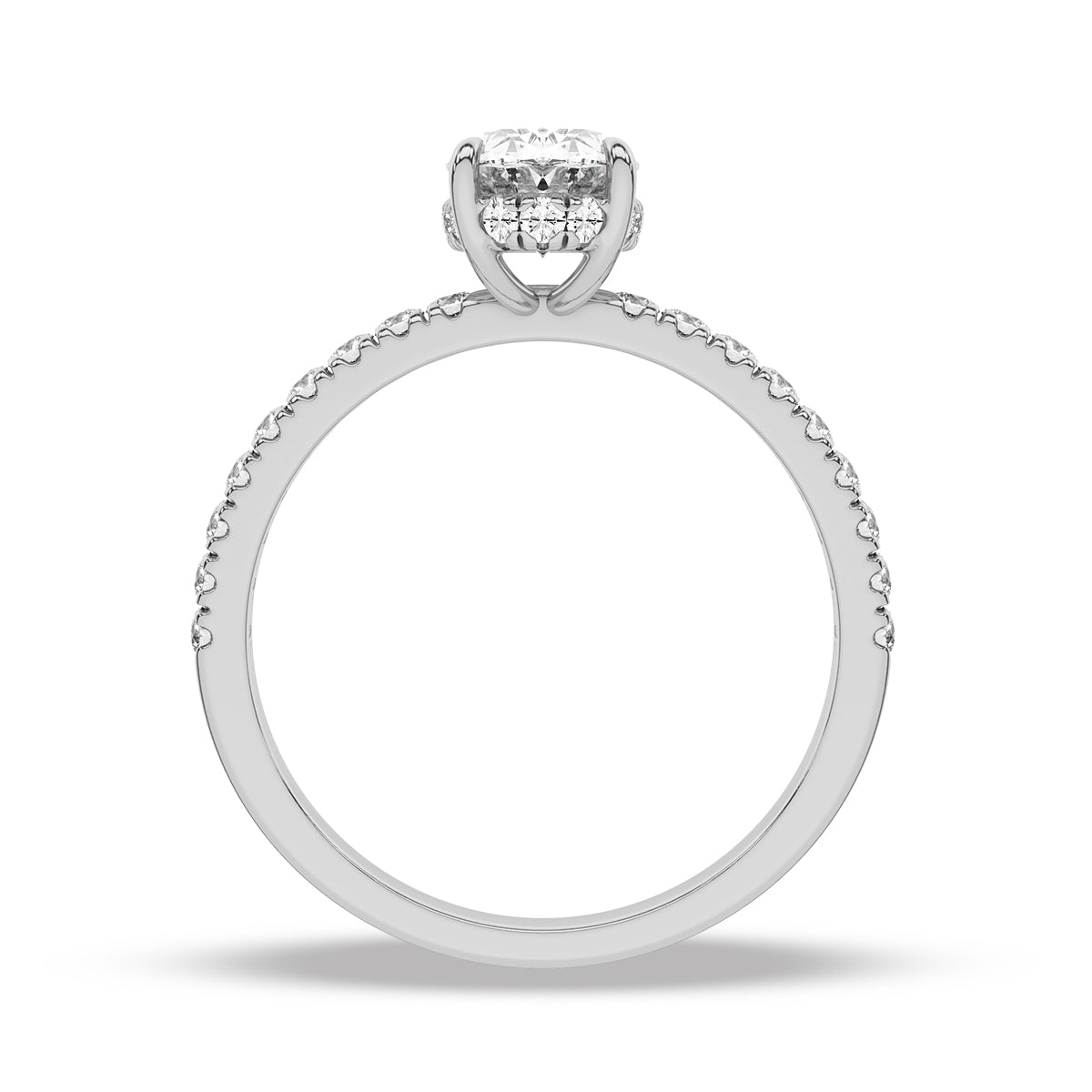Heron Ring
