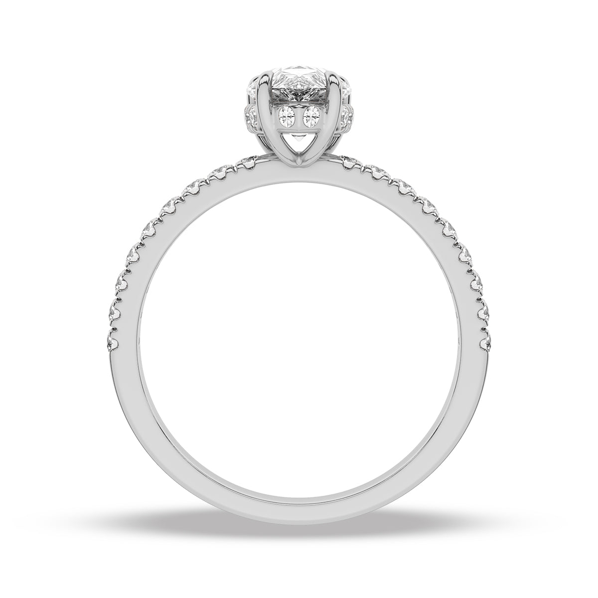 Heron Ring