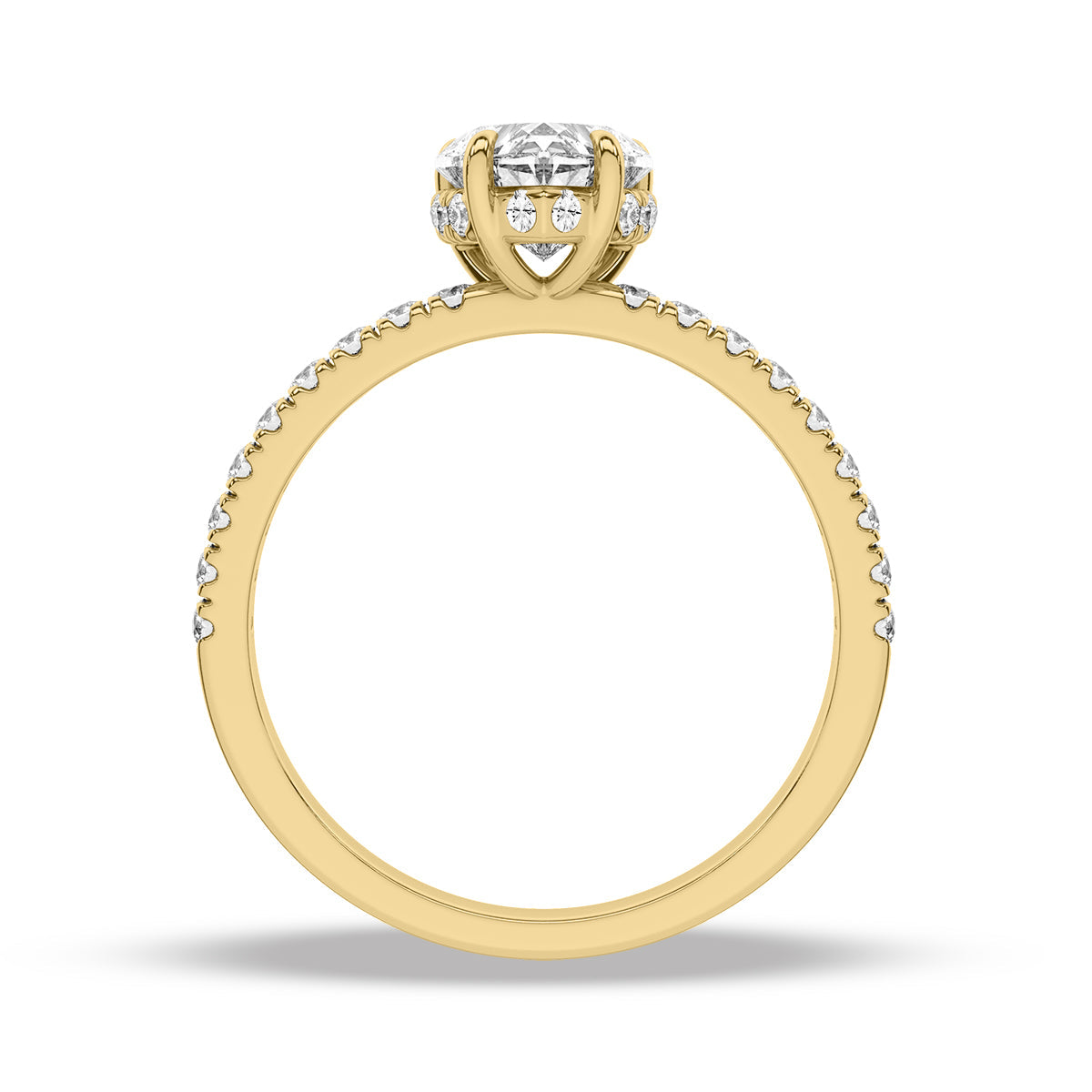 Heron Ring