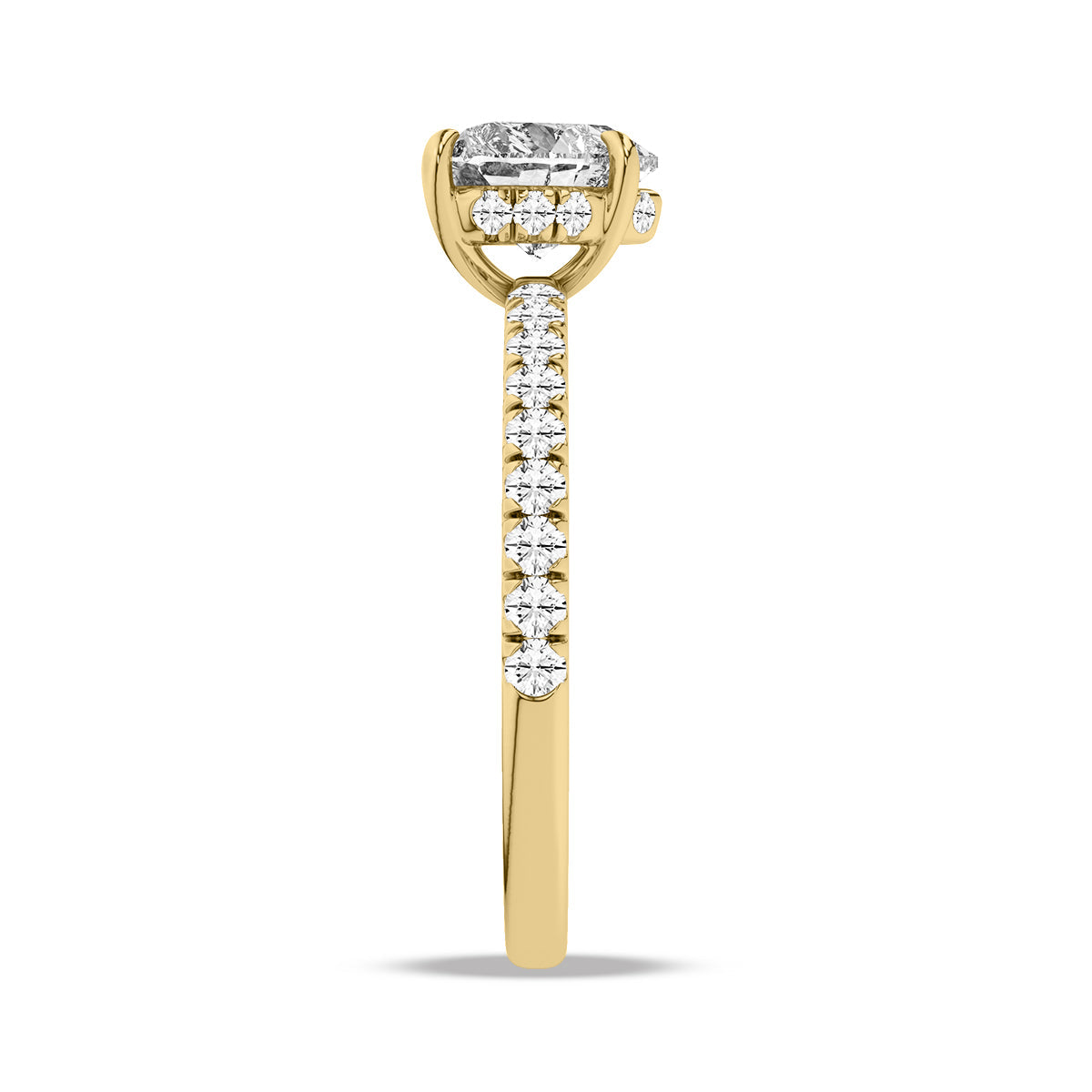 Heron Ring