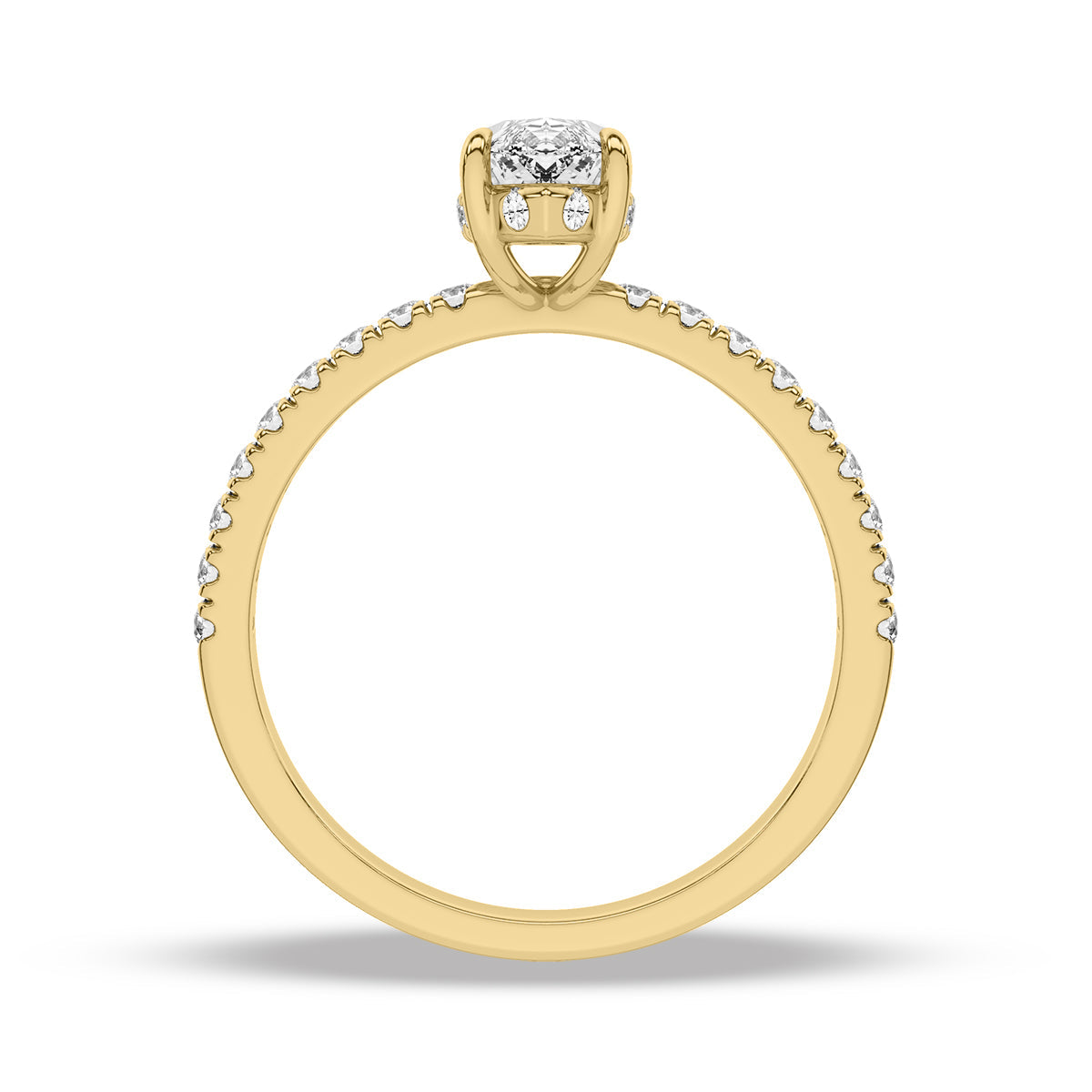 Heron Ring