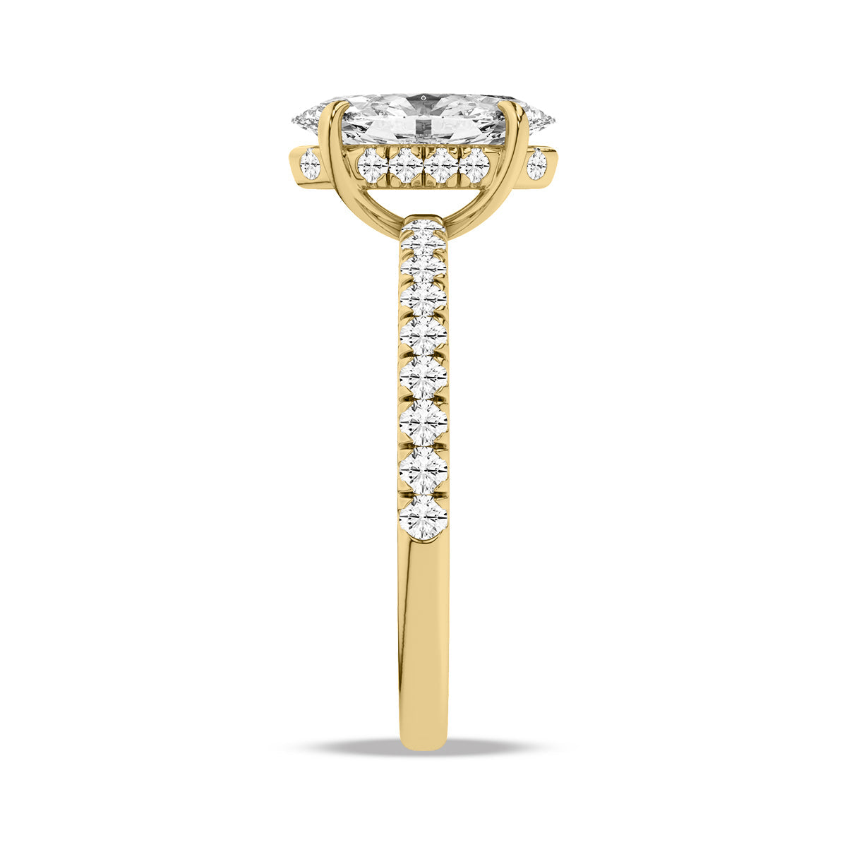Heron Ring