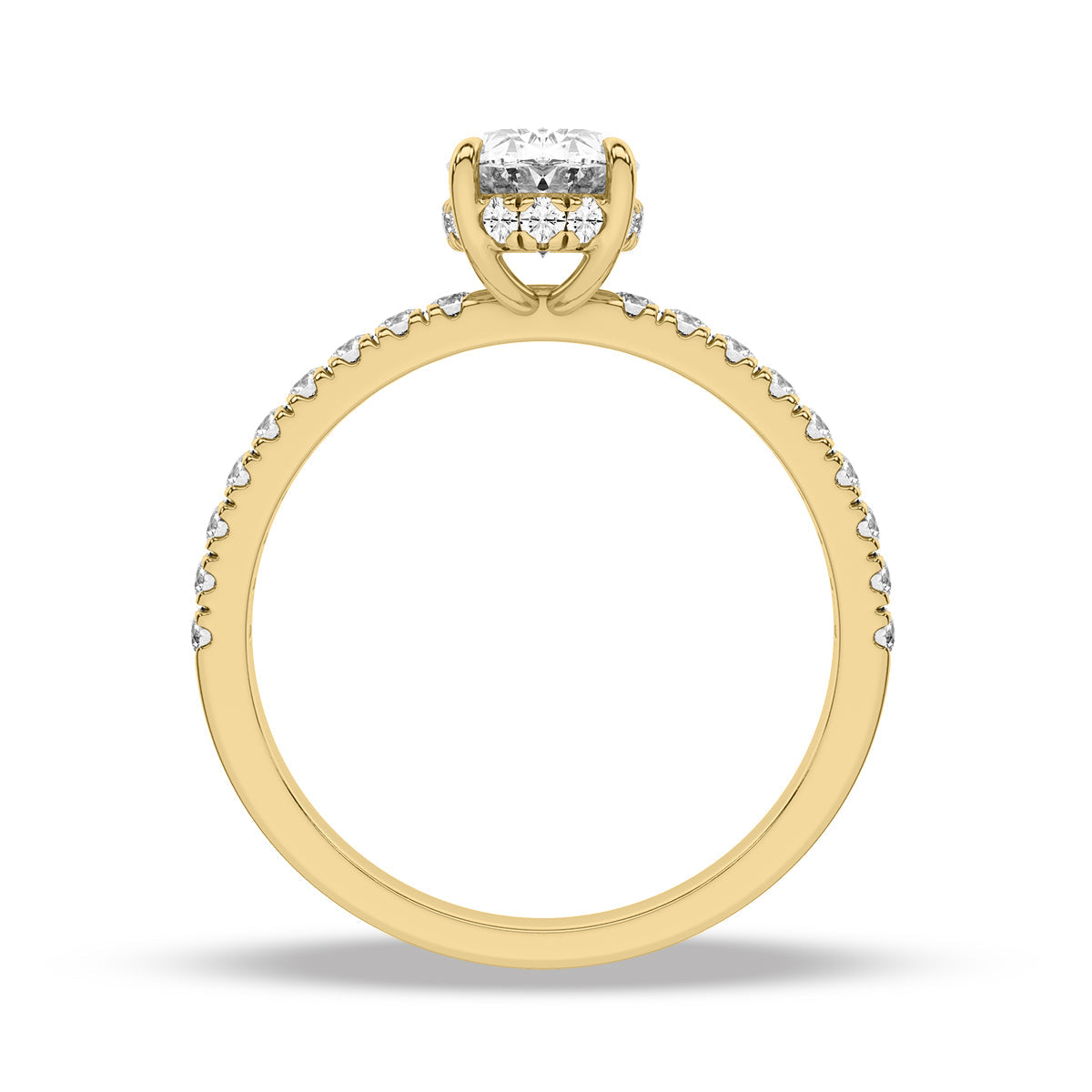 Heron Ring