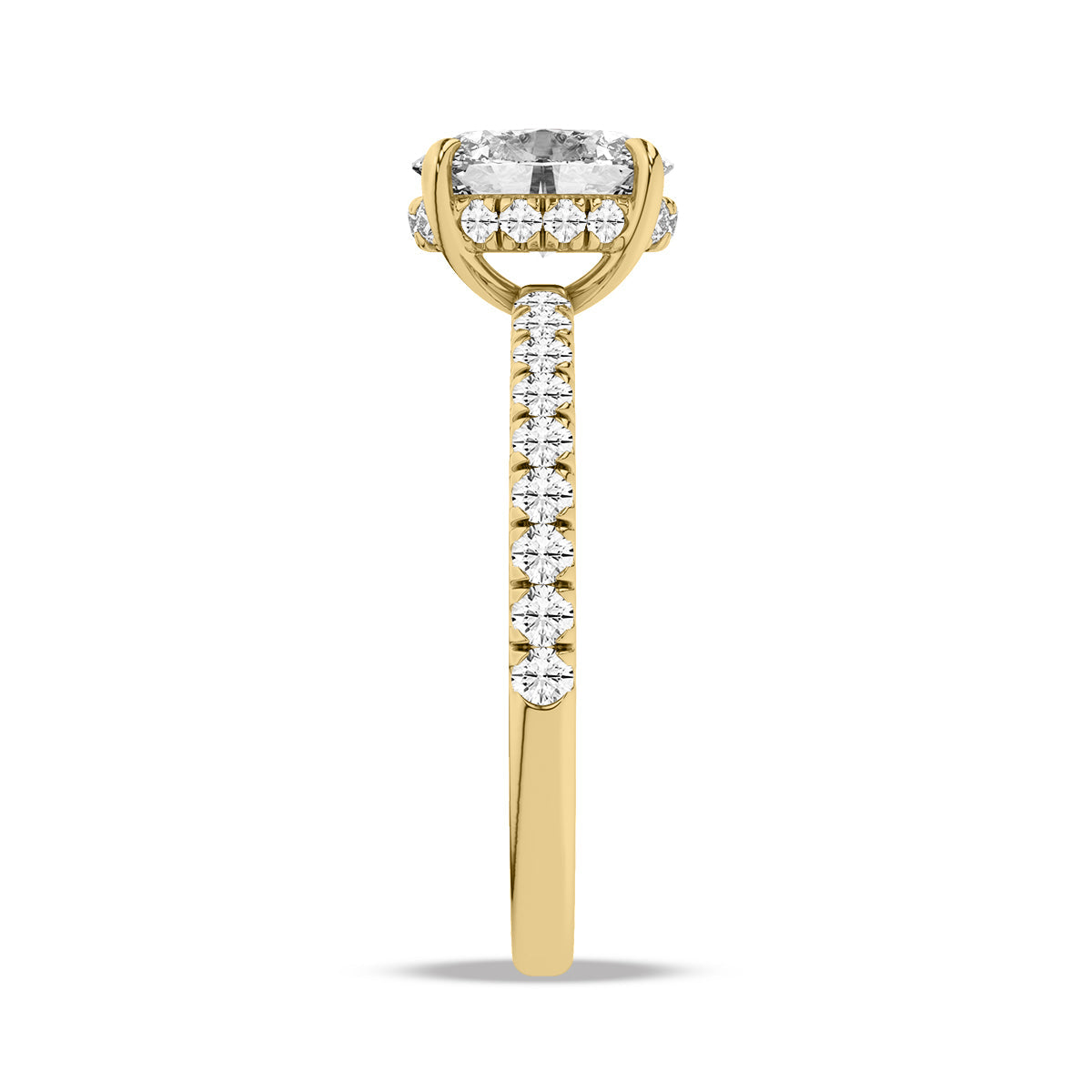 Heron Ring