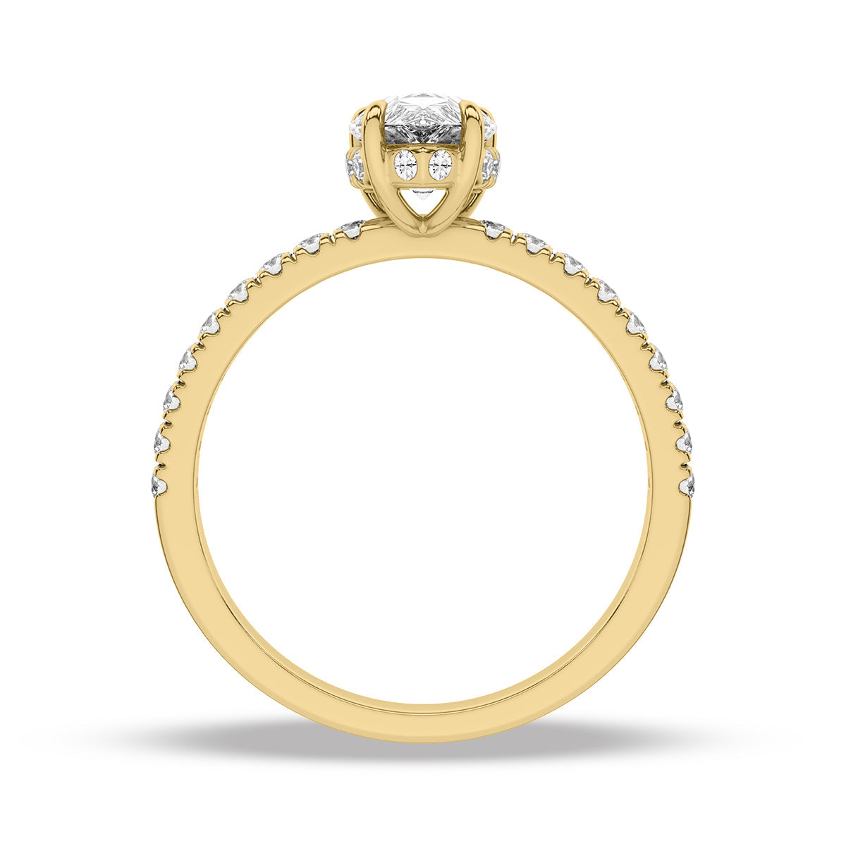 Heron Ring