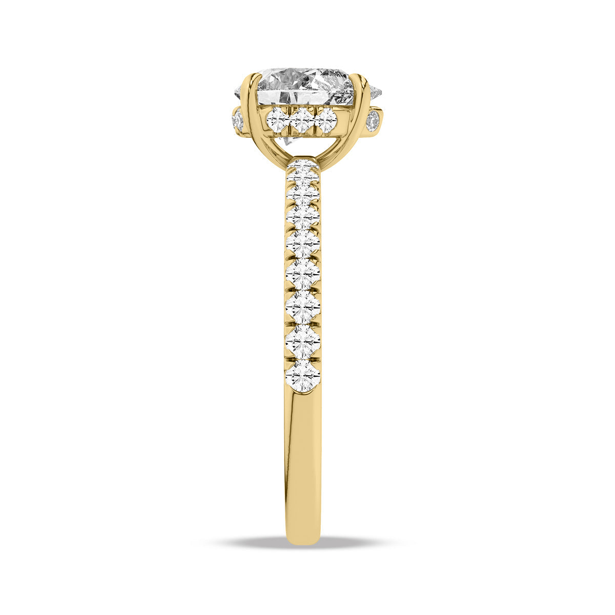 Heron Ring
