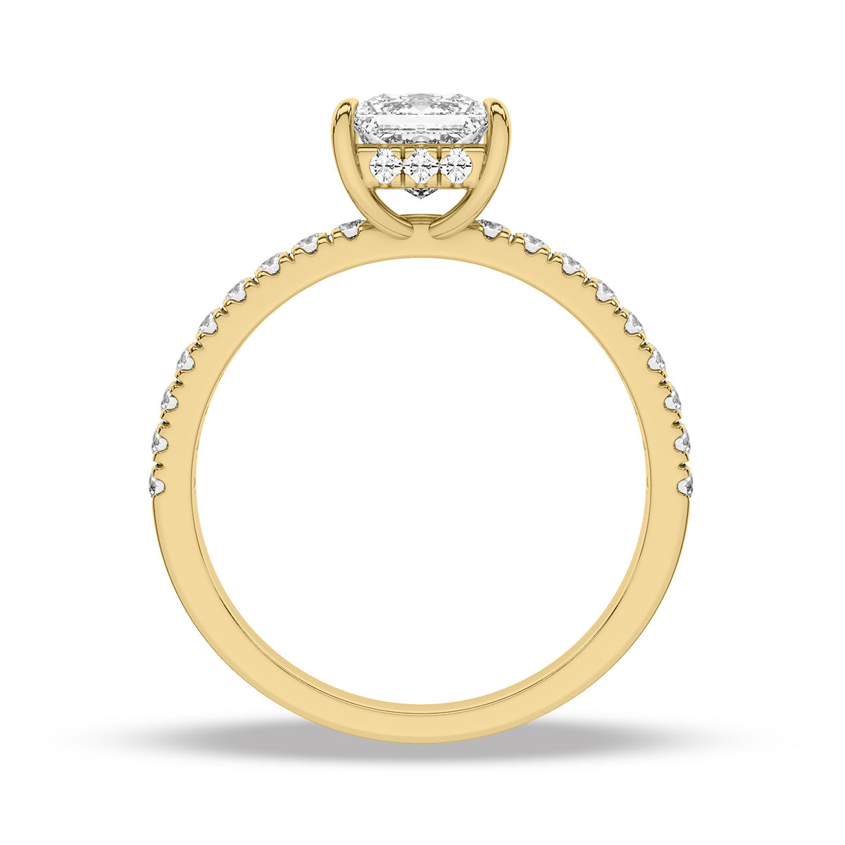 Heron Ring