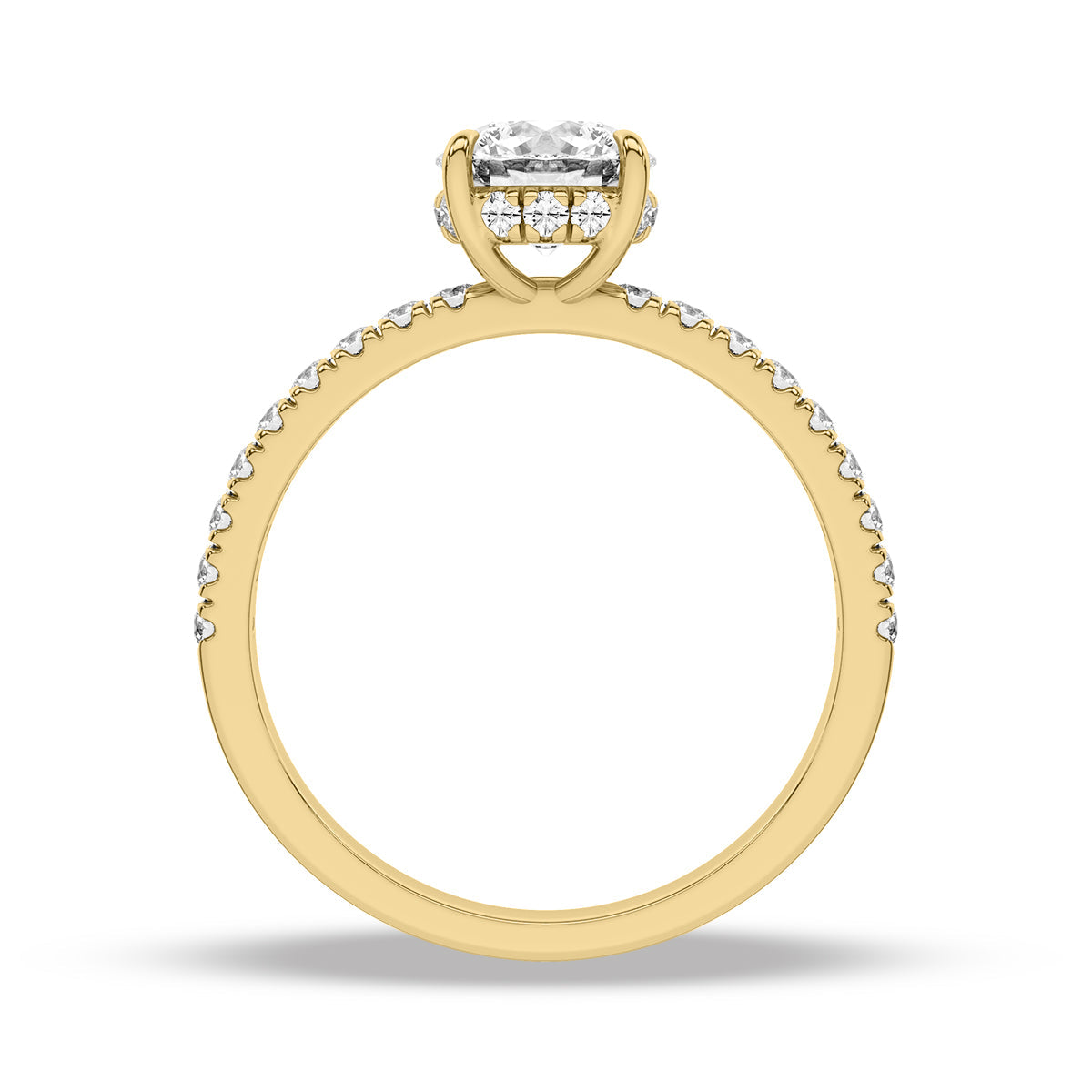 Heron Ring