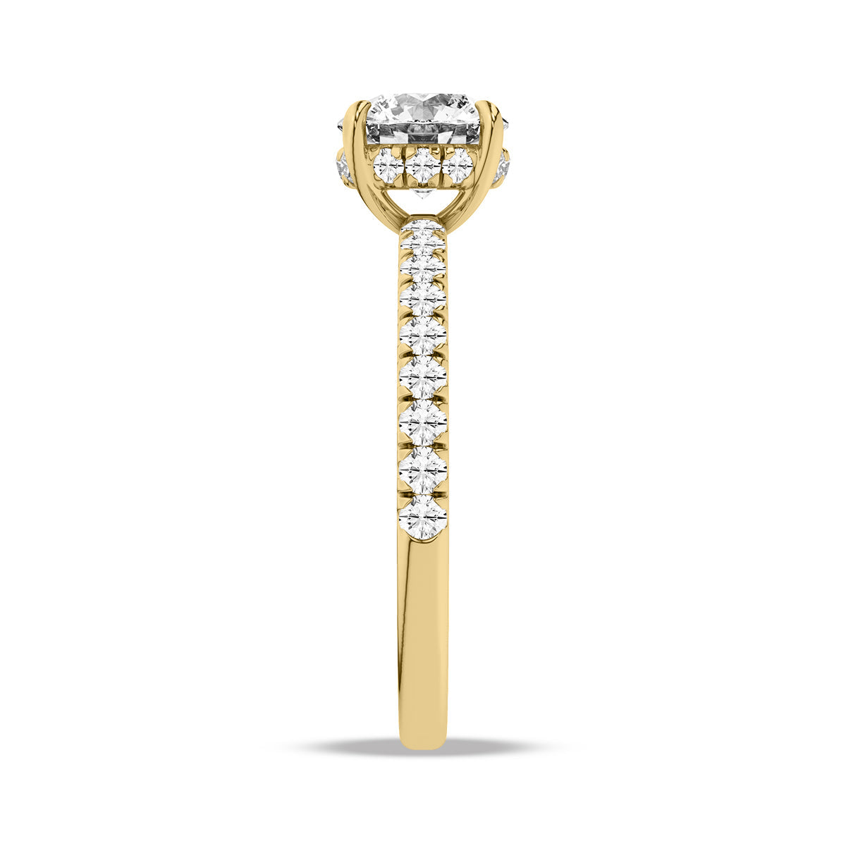 Heron Ring