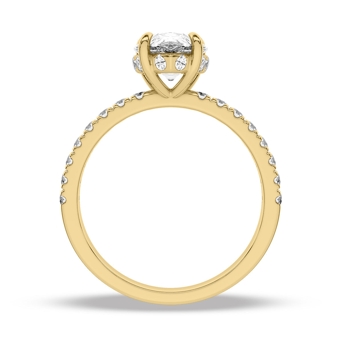 Yellow Gold - Pearl