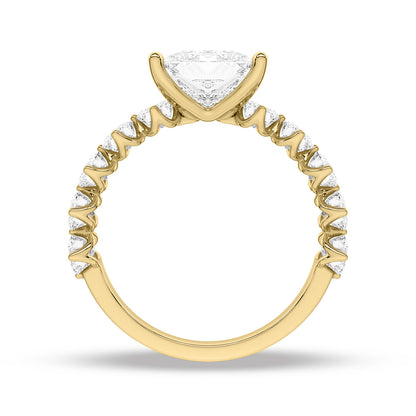 Yellow Gold - Princess
