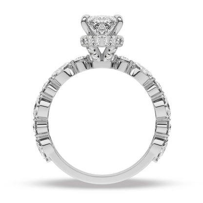 Platinum - Marquise
