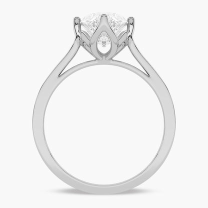 Platinum - Marquise