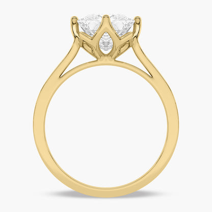 Yellow Gold - Princess